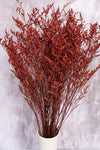 Red Lattifolia (Limonium)(Per Bunch)