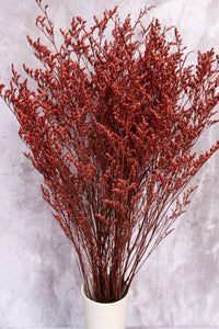 Red Lattifolia (Limonium)(Per Bunch)