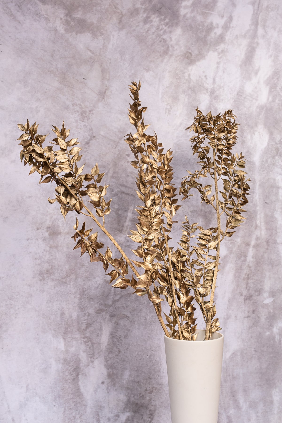 Gold Italian Ruscus
