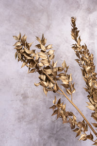 Gold Italian Ruscus