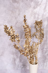 Gold Italian Ruscus