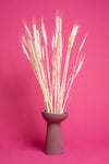 Bleached Wheat