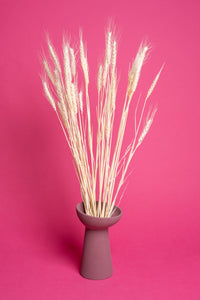 Bleached Wheat
