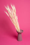 Bleached Wheat