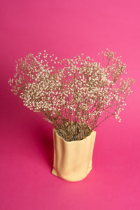 Preserved Baby's Breath / Gypsophila