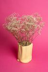 Preserved Baby's Breath / Gypsophila