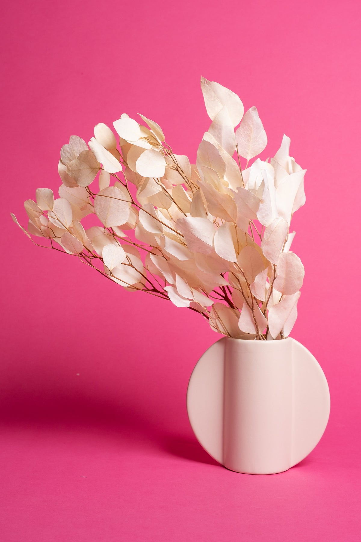Ivory Florence Ceramic Vase (16cm)