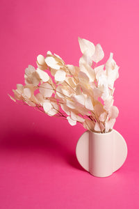 Ivory Florence Ceramic Vase (16cm)