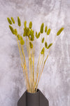 Chartreuse Green Bunny Tails