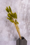 Chartreuse Green Bunny Tails