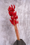 Red Bunny Tails