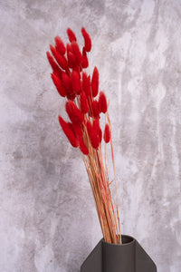 Red Bunny Tails