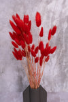 Red Bunny Tails