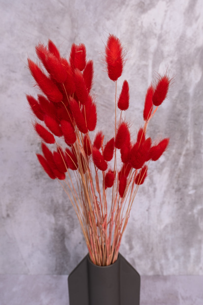 Red Bunny Tails
