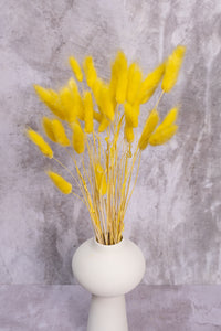 Sunny Yellow Bunny Tails