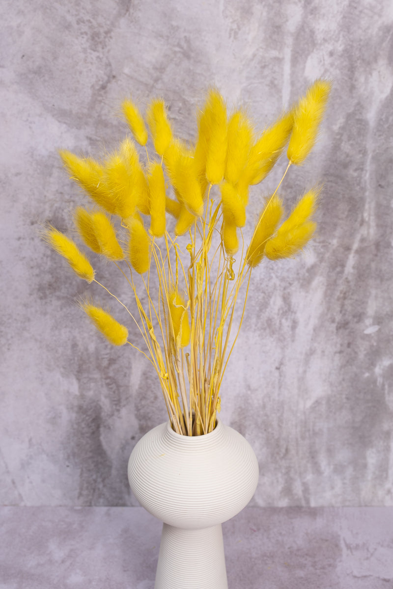 Sunny Yellow Bunny Tails