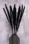 Black Mini Pampas