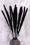 Black Mini Pampas
