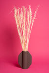 Light Pink Oat Flower