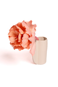 Soft Coral Pink Hakea Victoria
