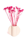 Pink Klaas Louw