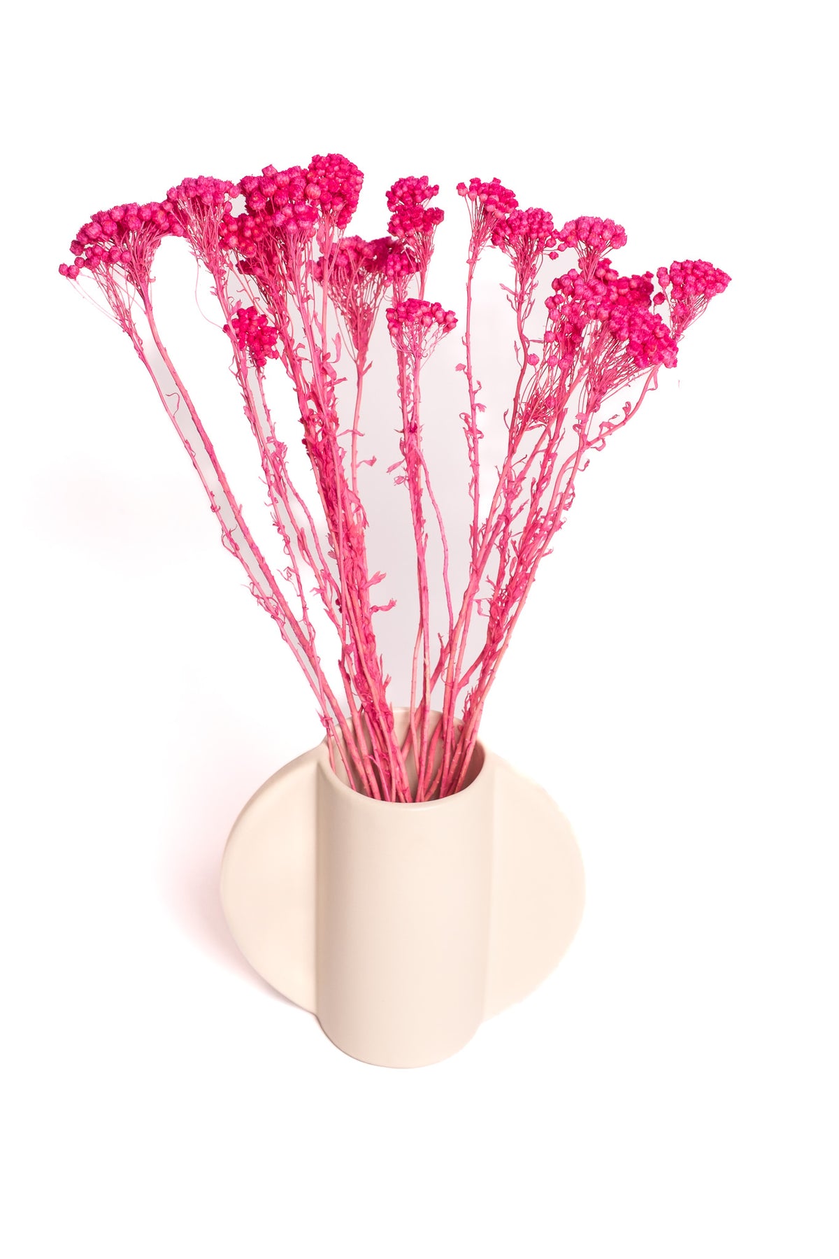 Pink Klaas Louw