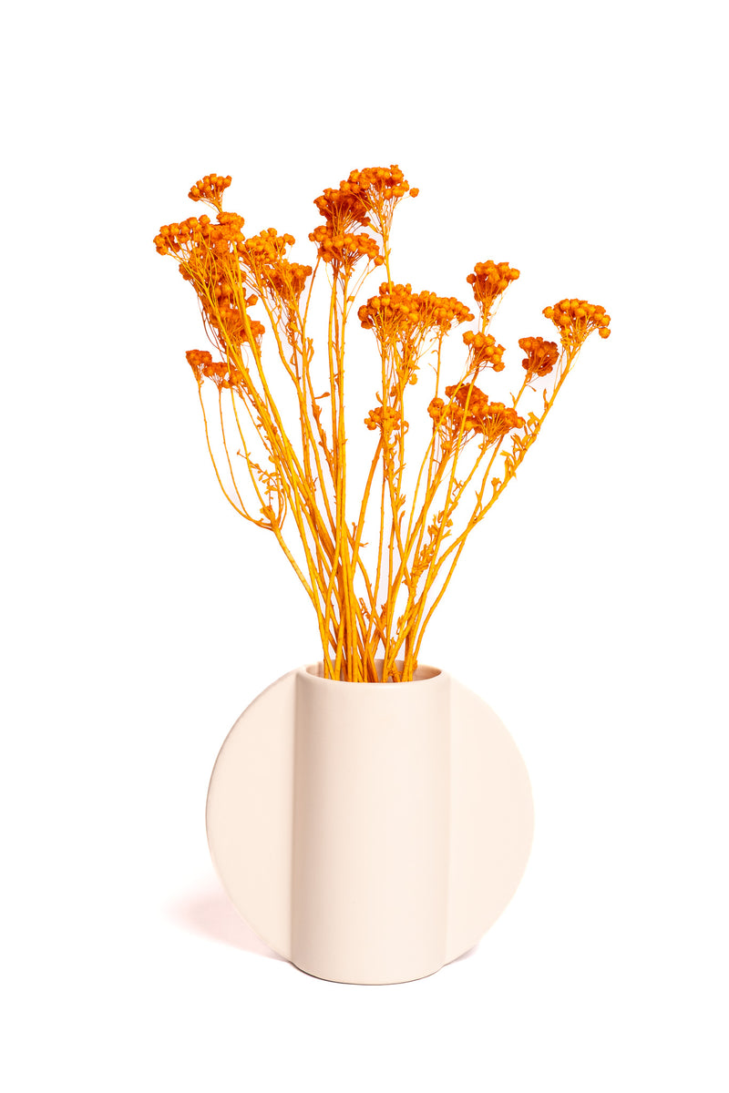 Orange Klaas Louw