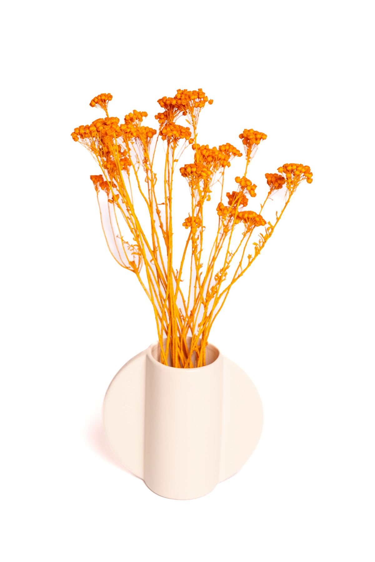 Orange Klaas Louw