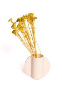 Chartreuse Klaas Louw