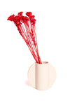 Red Klaas Louw