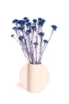 Blue Klaas Louw