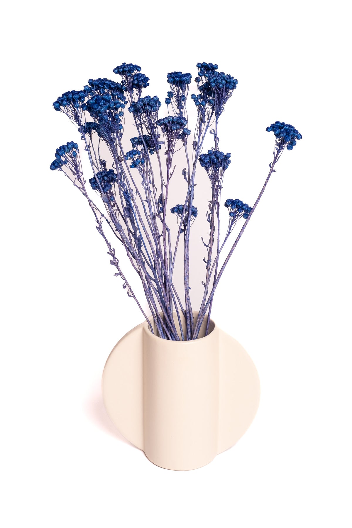Blue Klaas Louw