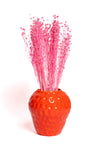 Pink Flax