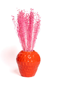 Pink Flax