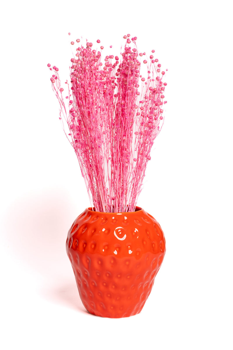Pink Flax