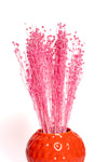Pink Flax