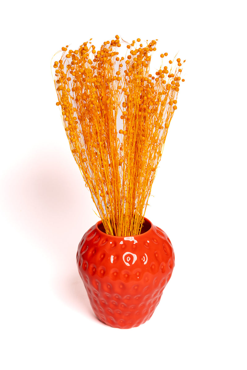Happy Orange Flax