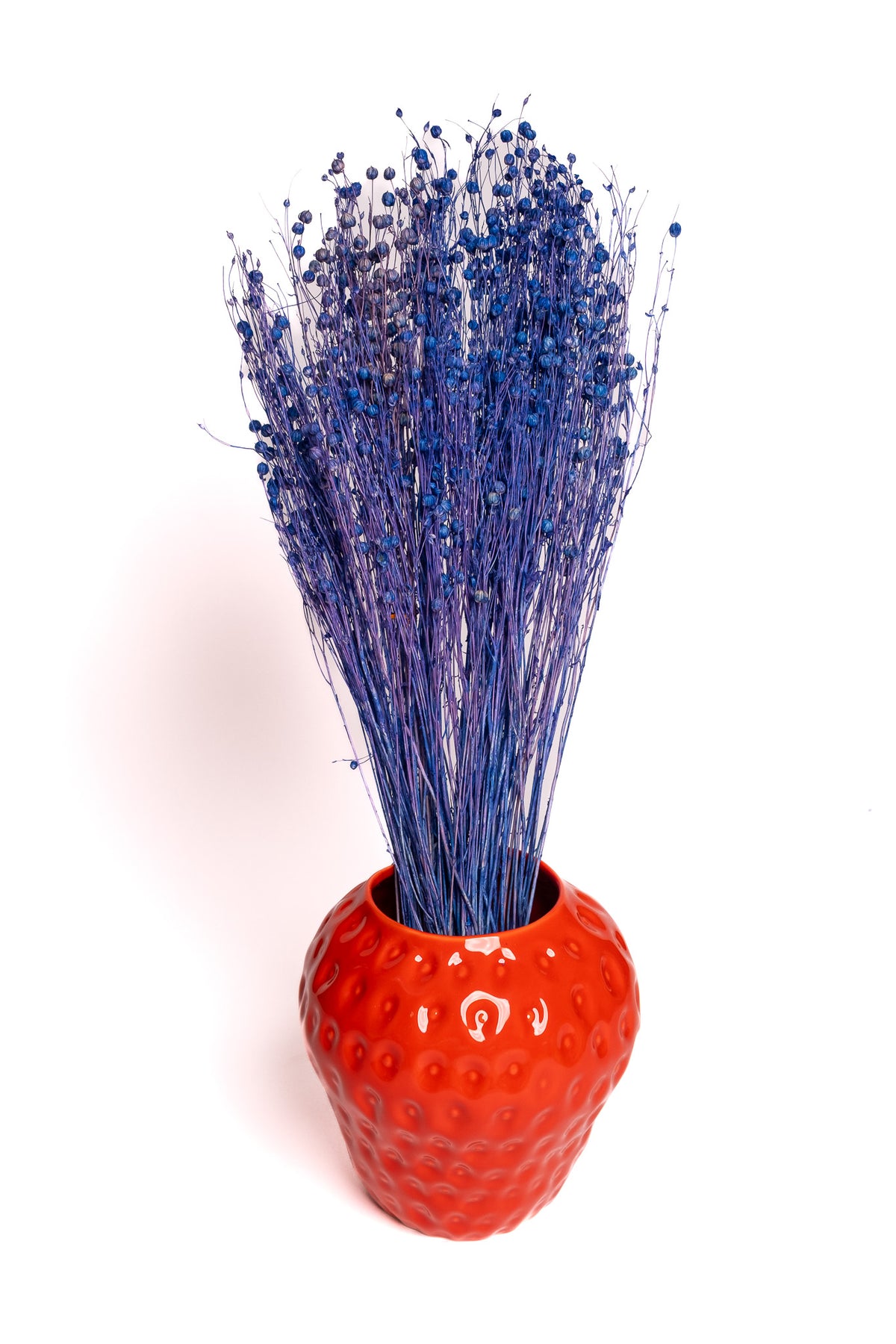 Blue Flax