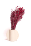 Burgundy Flax