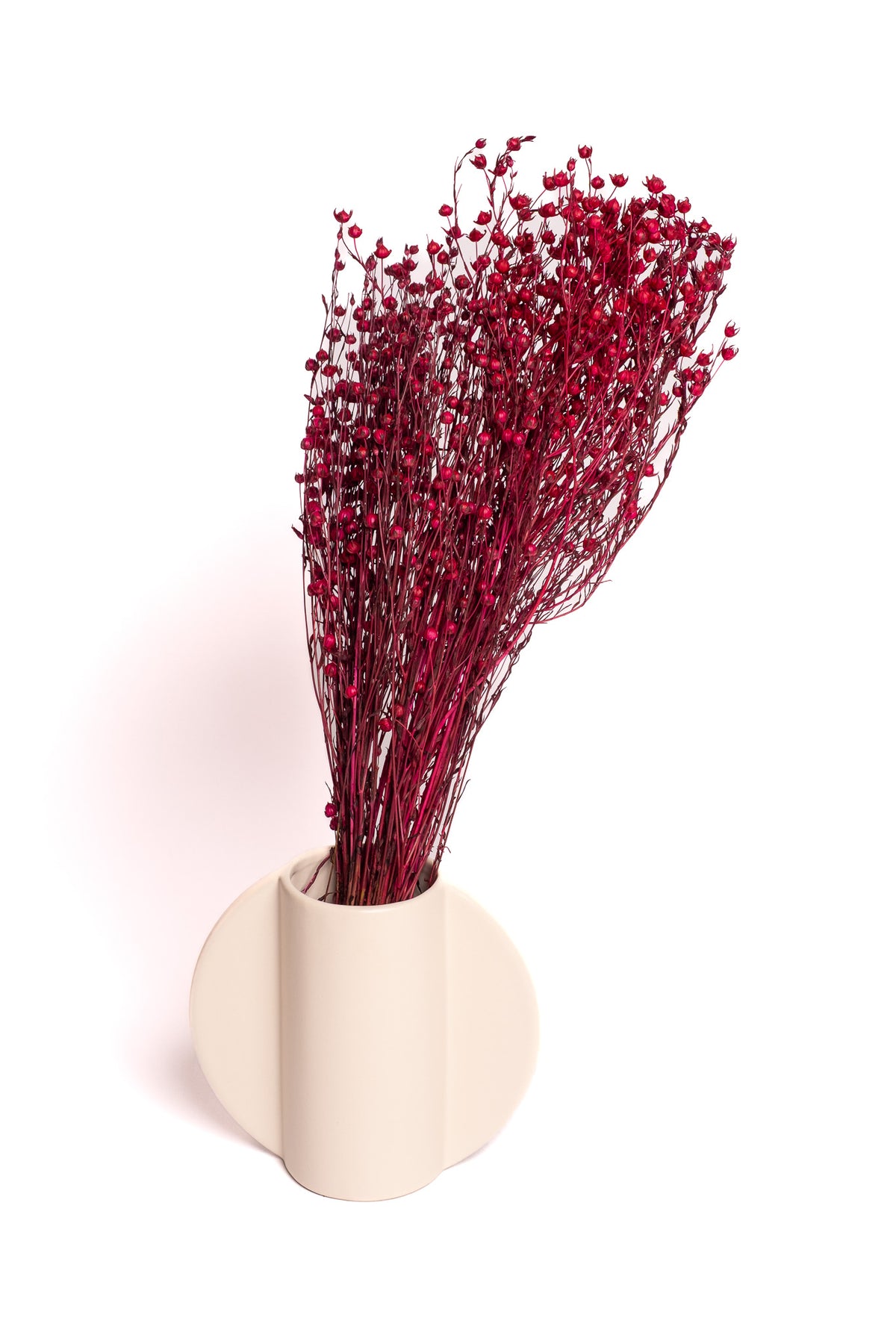 Burgundy Flax