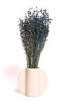 Teal Blue Flax