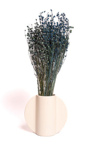 Teal Blue Flax