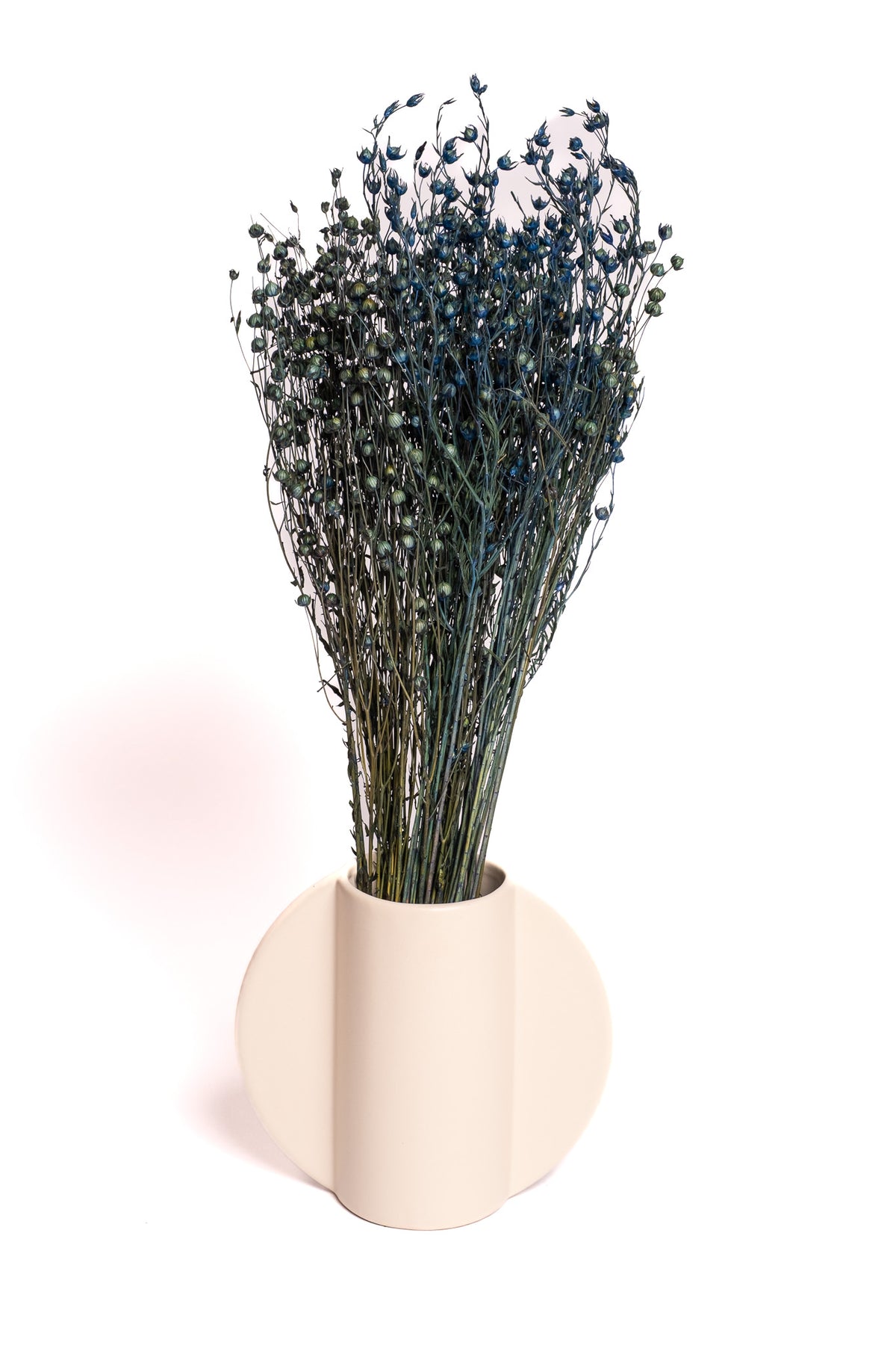 Teal Blue Flax