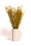 Mustard Yellow Flax