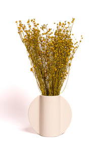 Mustard Yellow Flax