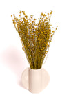 Mustard Yellow Flax