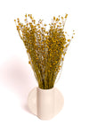 Mustard Yellow Flax