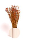 Rust Orange Flax