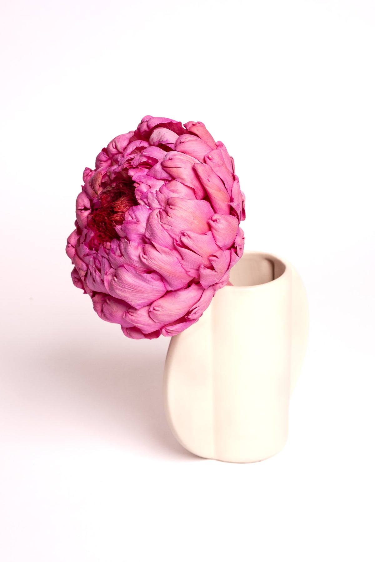 Pink Artichoke