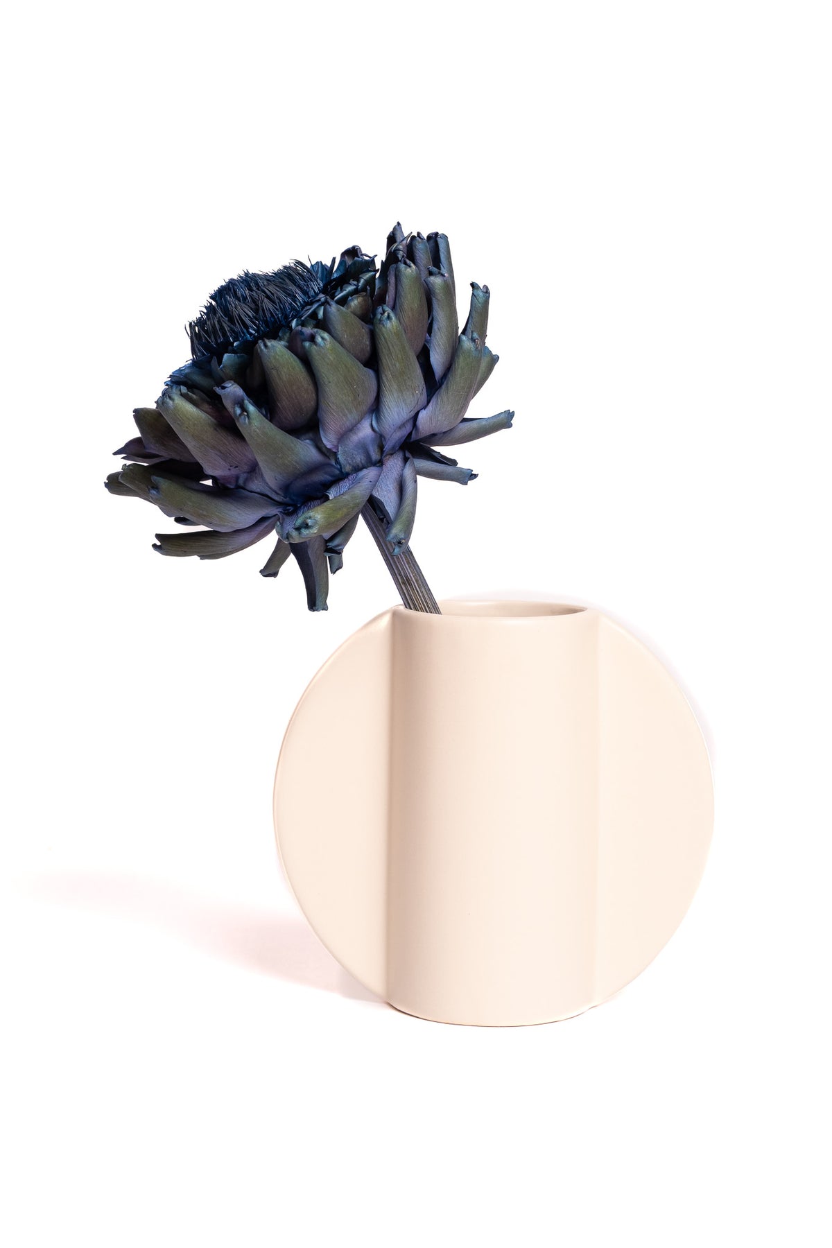 Blue Artichoke